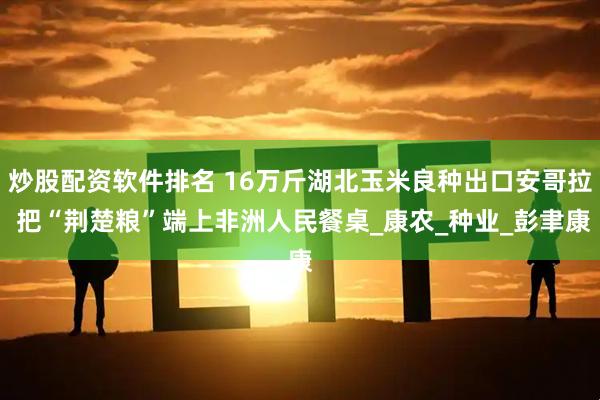 炒股配资软件排名 16万斤湖北玉米良种出口安哥拉 把“荆楚粮”端上非洲人民餐桌_康农_种业_彭聿康